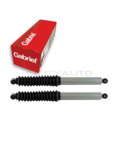 Gabriel Shock Absorber