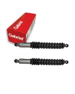 Gabriel Shock Absorber