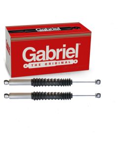 Gabriel Shock Absorber