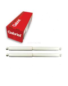 Gabriel Shock Absorber