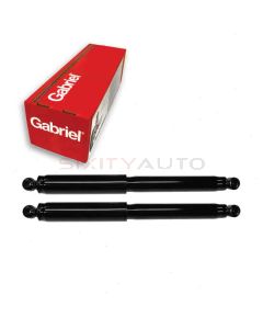 Gabriel Shock Absorber