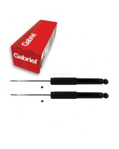 Gabriel Shock Absorber