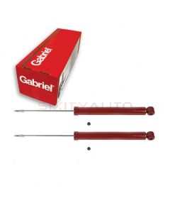 Gabriel Shock Absorber