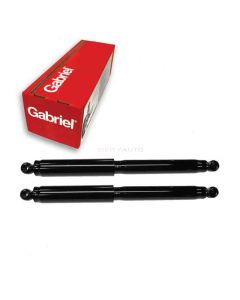 Gabriel Shock Absorber