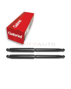 Gabriel Shock Absorber