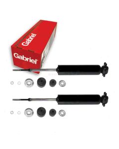 Gabriel Shock Absorber