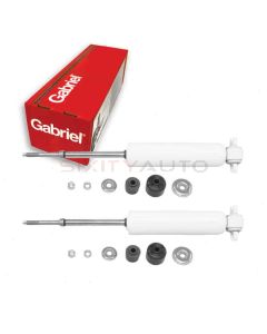 Gabriel Shock Absorber