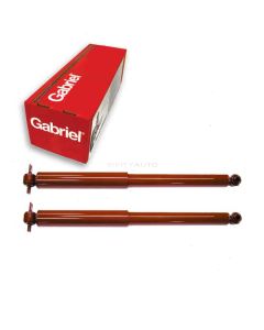 Gabriel Shock Absorber