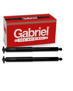 Gabriel Shock Absorber
