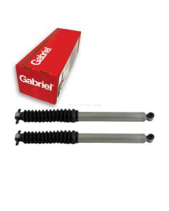 Gabriel Shock Absorber