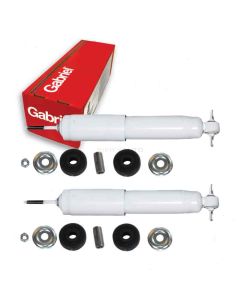 Gabriel Shock Absorber