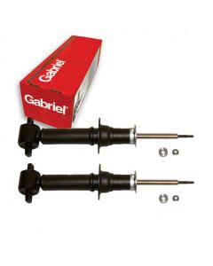Gabriel Suspension Strut Assembly