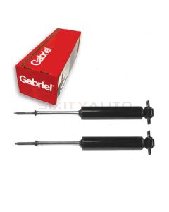 Gabriel Shock Absorber