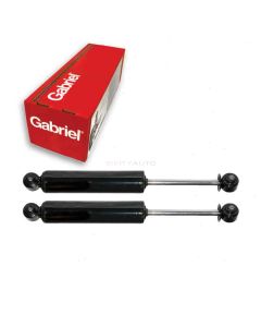 Gabriel Shock Absorber