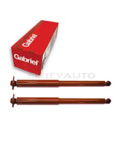 Gabriel Shock Absorber