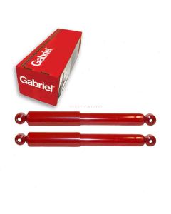 Gabriel Shock Absorber