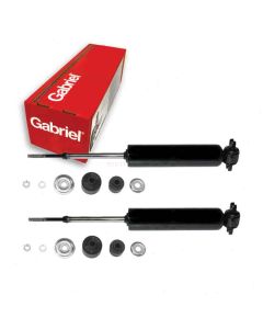 Gabriel Shock Absorber