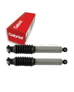 Gabriel Shock Absorber