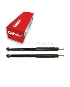 Gabriel Suspension Strut Assembly