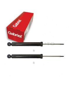 Gabriel Shock Absorber