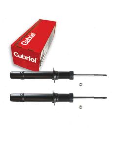 Gabriel Suspension Strut Assembly