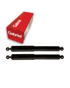 Gabriel Shock Absorber