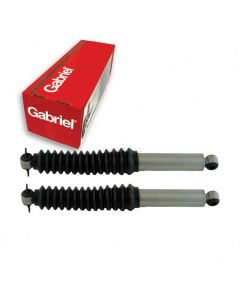 Gabriel Shock Absorber
