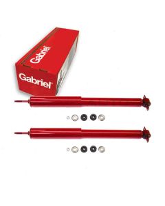 Gabriel Shock Absorber