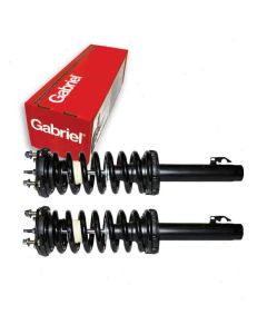 Gabriel Suspension Strut Assembly