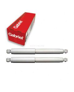 Gabriel Shock Absorber