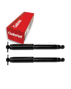 Gabriel Shock Absorber
