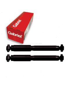 Gabriel Shock Absorber