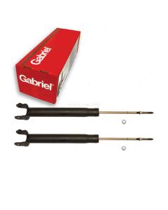 Gabriel Suspension Strut Assembly