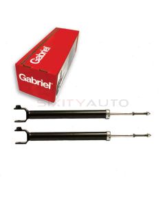 Gabriel Suspension Strut Assembly