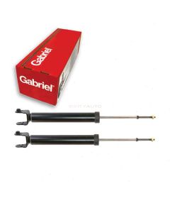 Gabriel Suspension Strut Assembly