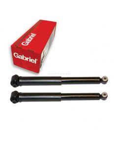 Gabriel Shock Absorber