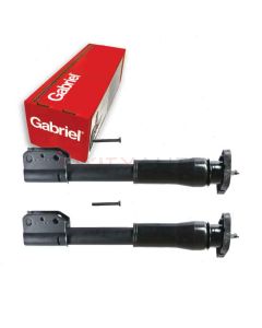Gabriel Suspension Strut Assembly
