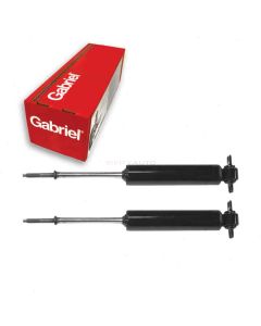 Gabriel Shock Absorber