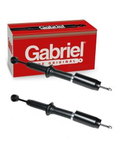 Gabriel Suspension Strut Assembly