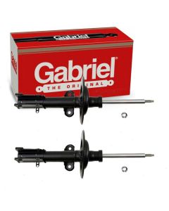 Gabriel Suspension Strut