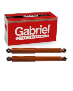 Gabriel Shock Absorber
