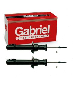 Gabriel Suspension Strut