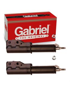 Gabriel Suspension Strut