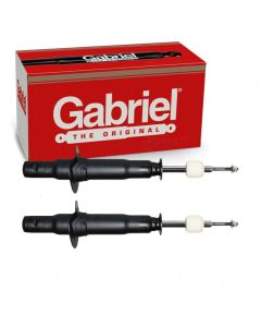 Gabriel Suspension Strut