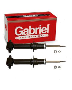 Gabriel Suspension Strut