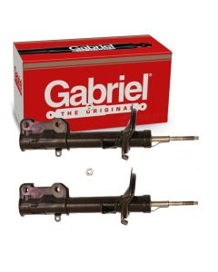 Gabriel Suspension Strut