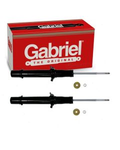 Gabriel Suspension Strut