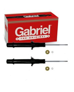 Gabriel Suspension Strut