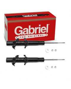 Gabriel Suspension Strut