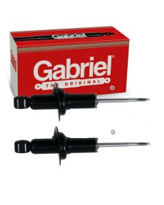 Gabriel Suspension Strut